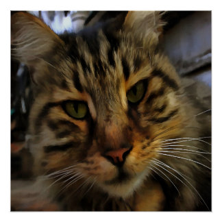 Long Haired Tabby Cat Artistic Pet Portrait v2 Poster