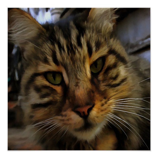 Long Haired Tabby Cat Artistic Pet Portrait v2 Poster (Front)
