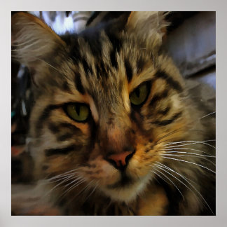 Long Haired Tabby Cat Artistic Pet Portrait v2 Poster