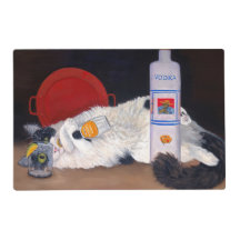 Long Haired Tuxedo Cat