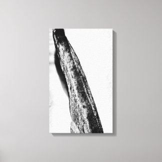 long hard cold lonely canvas print
