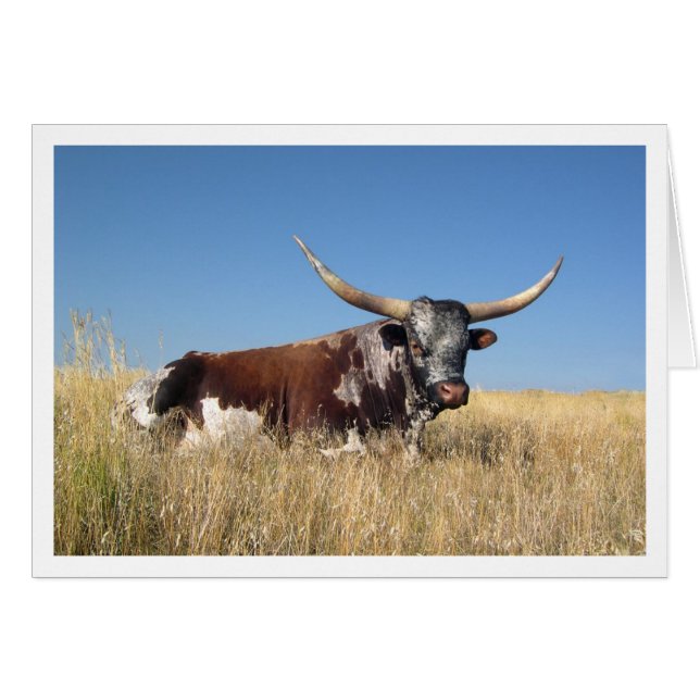 Long Horn (Front Horizontal)