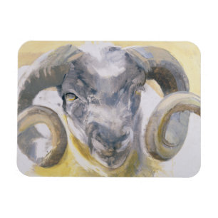 Long Horn Sheep 2 Magnet