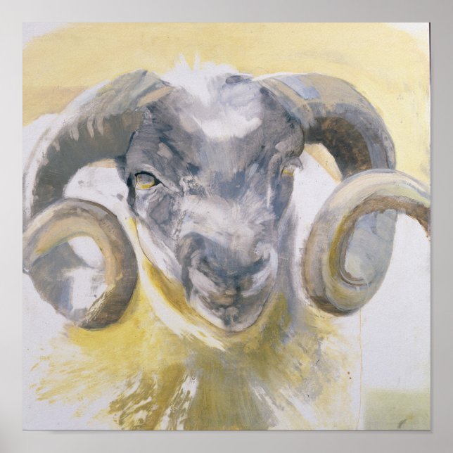 Long Horn Sheep 2 Poster (Front)