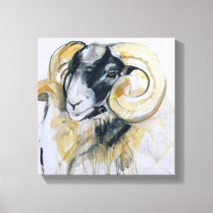 Long Horn Sheep Canvas Print