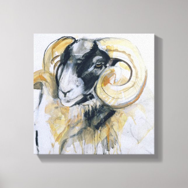 Long Horn Sheep Canvas Print (Front)