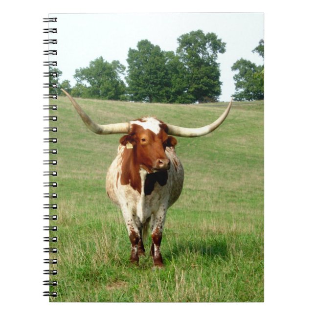 Long Horned Cow Notebook (Front)