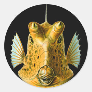 Long-horned Cowfish Classic Round Sticker