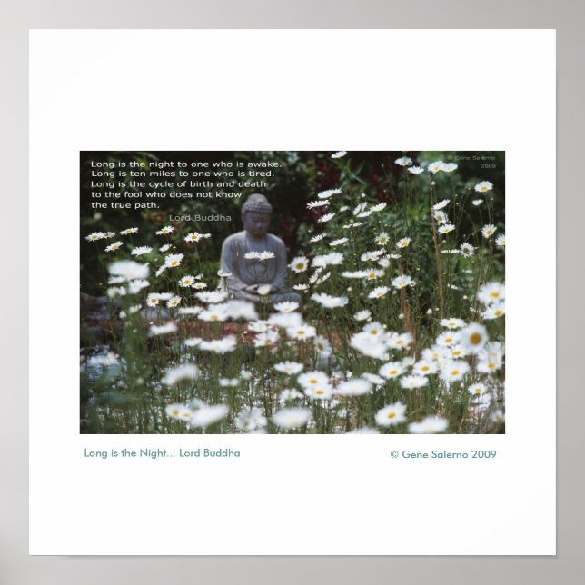 Long is the Night Poster (Front)