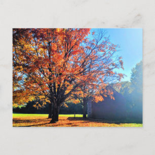 Long Island Autumn Fall Farm Barn New York  Postcard