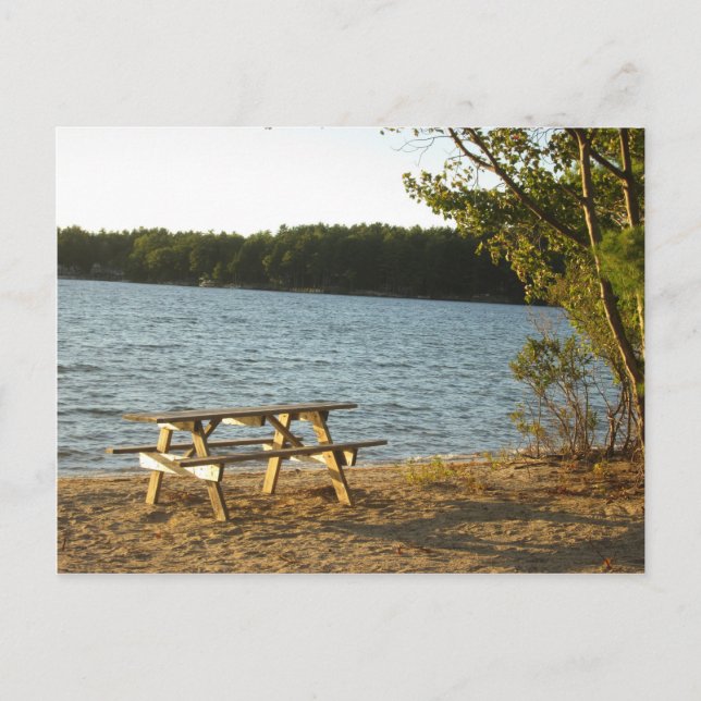 Long Island Beach Bench Postcard (Front)