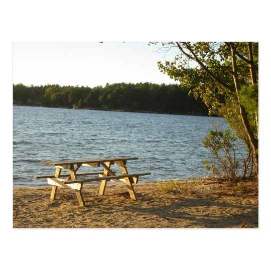 Long Island Beach Bench Postcard