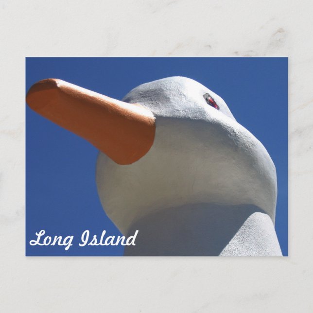 Long Island Duck 2 Postcard (Front)
