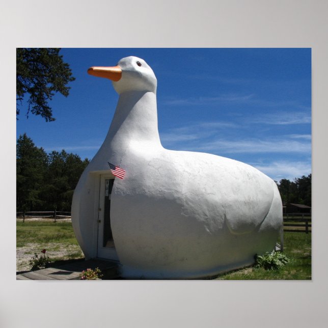 Long Island Duck Poster (Front)