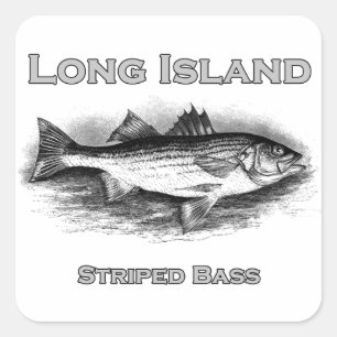 Long Island Vintage Striped Bass Logo Square Sticker