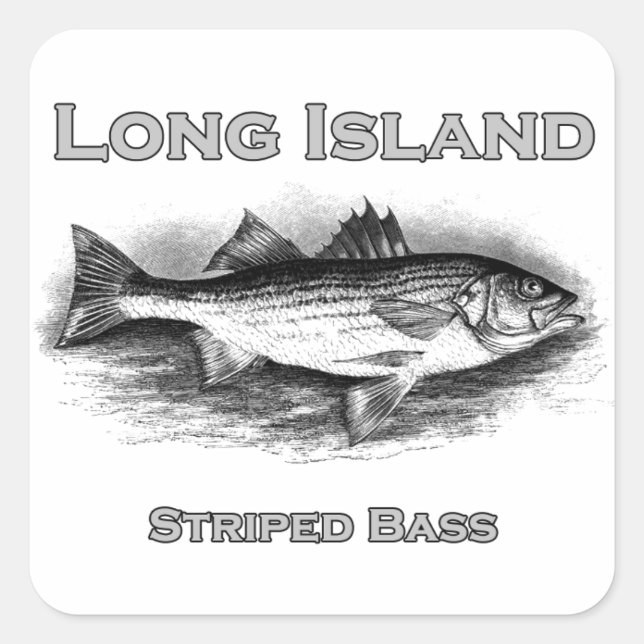 Long Island Vintage Striped Bass Logo Square Sticker (Front)