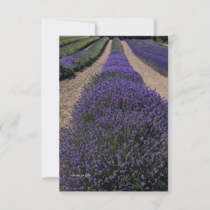 Long Lavender Row Card
