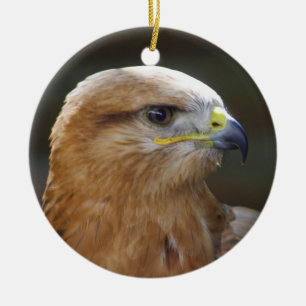 Long-legged Buzzard Ceramic Tree Decoration