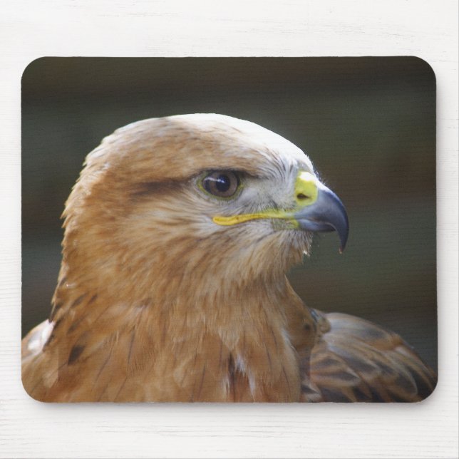 Long-legged Buzzard Mouse Mat (Front)