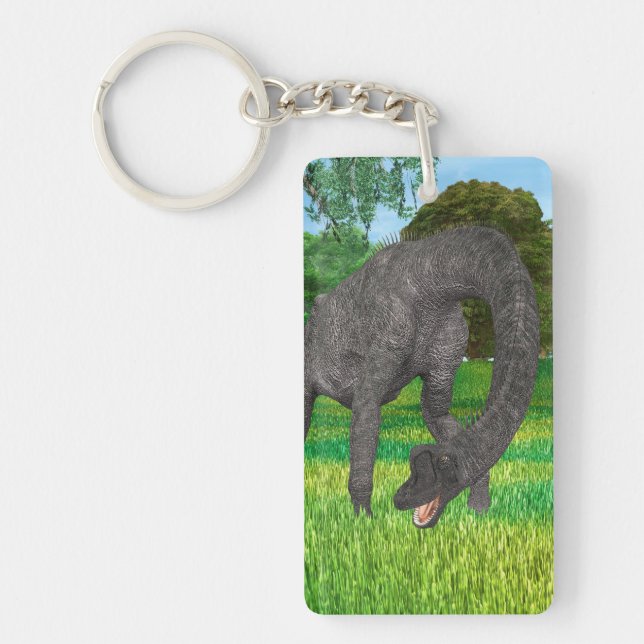 Long Neck Dinosaur Jungle Adventure Key Ring (Front)