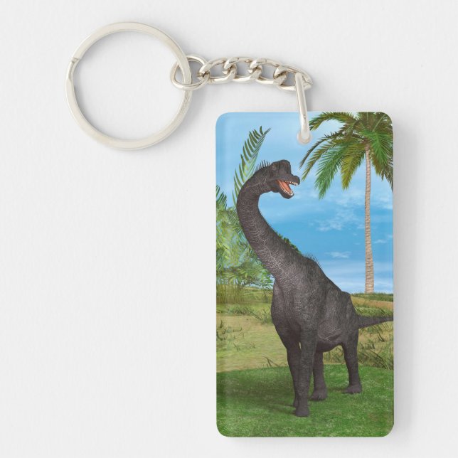 Long Neck Dinosaur Jungle Adventure Key Ring (Front)