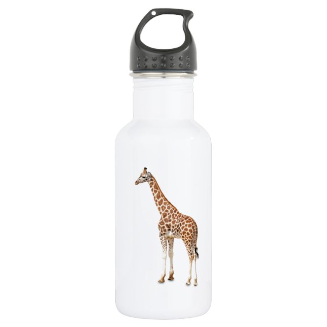 Long Neck Giraffe 532 Ml Water Bottle (Front)