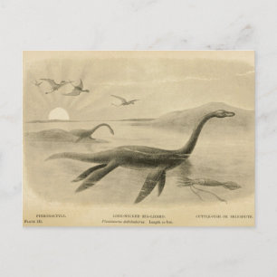 Long Neck Sea Lizard  Zoological Sketch Postcard