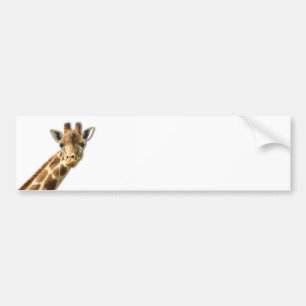Long Necked Giraffe Bumper Sticker