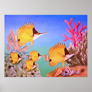 Long-nose Butterfly Fish Poster