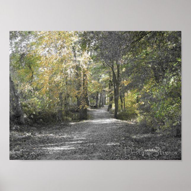 Long Path Poster (Front)