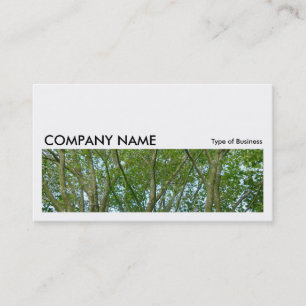 Long Picture 0142 - Japanese Maple Business Card