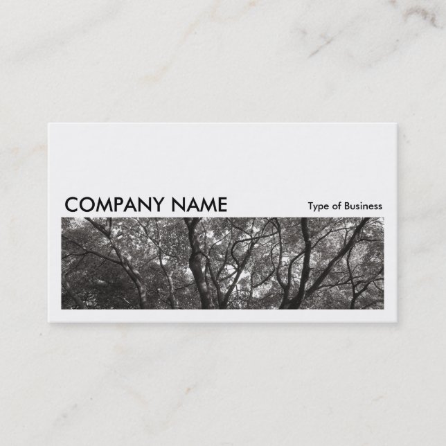 Long Picture 0151 - Japanese Branches 02 Business Card (Front)