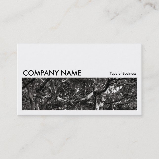 Long Picture 0152 - Japanese Branches 03 Business Card (Front)