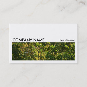 Long Picture 0154 - Japanese Branches 05 Business Card