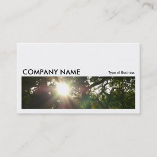 Long Picture 0156 - Japanese Branches 07 Business Card