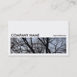 Long Picture 0161 - Silhouetted Branches Business Card
