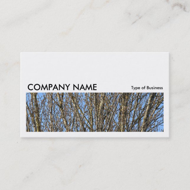 Long Picture 0164 - Sunlit Branches Business Card (Front)