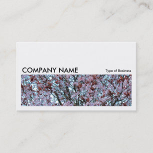Long Picture 0168 - Cherry Blossom Business Card