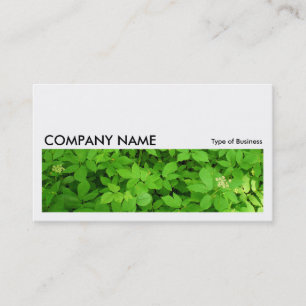 Long Picture 016 - Undergrowth Business Card