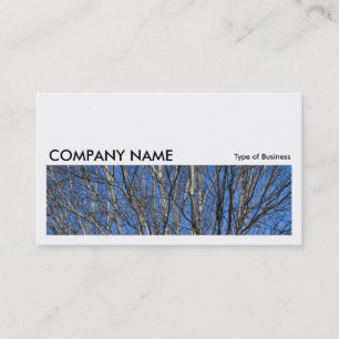 Long Picture 0170 - Silver Birch Branches Business Card