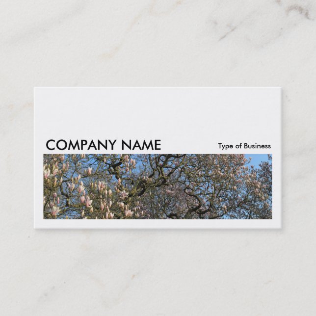 Long Picture 0171 - Magnolia Trees in Blossom Business Card (Front)