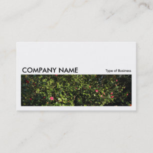 Long Picture 0175 - Camellia Bush Business Card