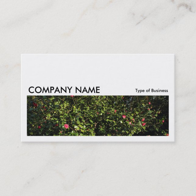 Long Picture 0175 - Camellia Bush Business Card (Front)