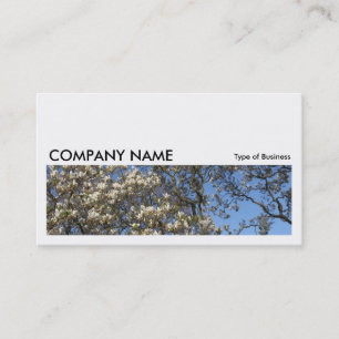 Long Picture 0179 - Magnolia Tree in Blossom Business Card