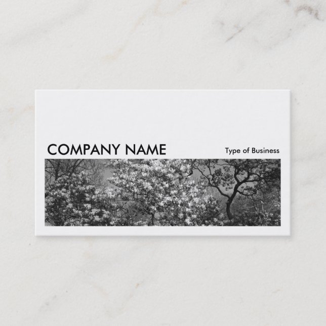 Long Picture 0180 - Magnolia Tree in Blossom Business Card (Front)