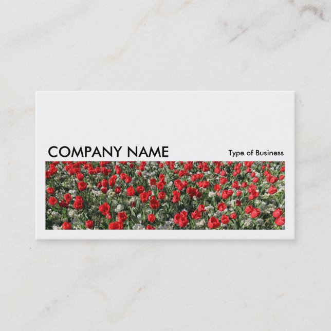 Long Picture 0182 - Red Tulips and Primroses Business Card (Front)