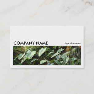 Long Picture 0183 - Botanical Gardens Business Card