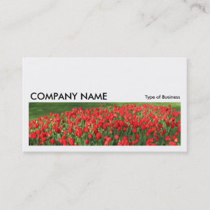 Long Picture 0233 - Bed of Red Tulips 02 Business Card