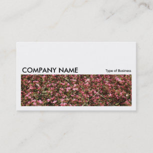 Long Picture 0234 - Pink Cherry Blossom Business Card