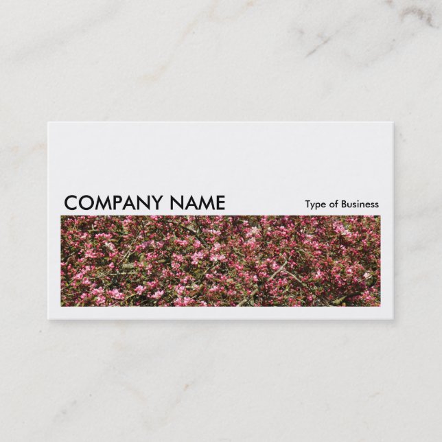 Long Picture 0234 - Pink Cherry Blossom Business Card (Front)